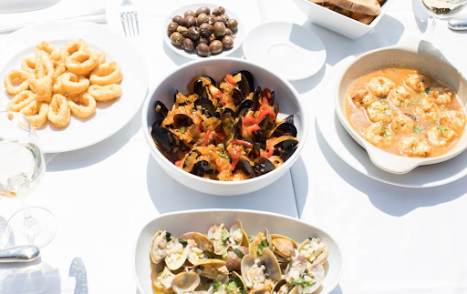 Melhor Época e Dicas Práticas